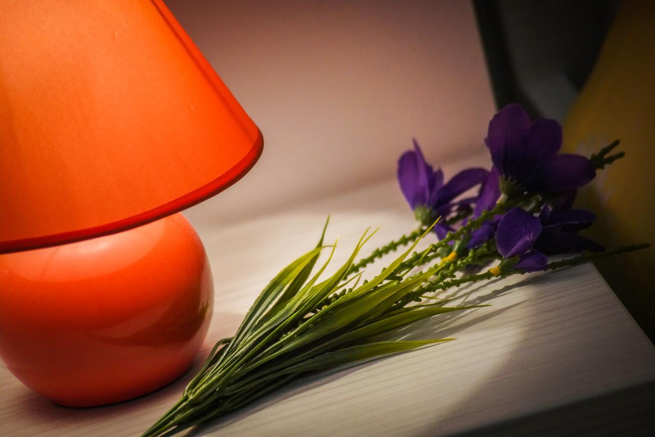 Apartments Grepo Sljeme ماكارسكا المظهر الخارجي الصورة